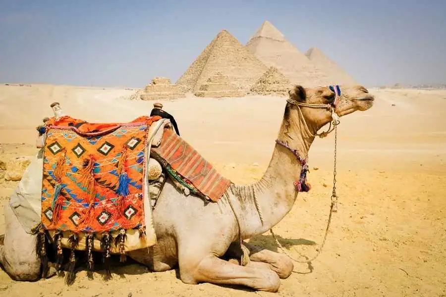 How To Visit The Pyramids Of Giza & Sphinx In Egypt