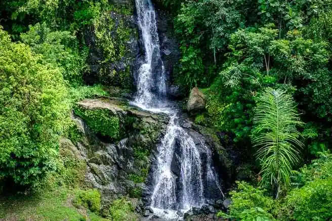Layana Waterfall & Warung In Ubud, Bali